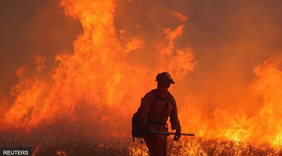 ロサンジェルス山火事